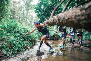 BIB: 
                            <button type="button" onclick="openModal(25374579)" class="btn btn-primary btn-sm float-right btn-popup" data-toggle="modal" data-target=".modal-high-quality">
                        <i class="fas fa-shopping-cart"></i> Add to Cart
                    </button>
                                            <button type="button" onclick="isThisMe(25374579, true)" class="btn btn-success btn-sm float-right btn-popup btn-isme hidden" data-toggle="tooltip" data-placement="bottom" title="นี่คือรูปของคุณใช่ไหม คลิกที่นี่เพื่อเอาเข้าอัลบั้ม">
                        <i class="fas fa-plus"></i> Add to album
                    </button>
                    <button type="button" onclick="isThisMe(25374579, false)" class="btn btn-warning btn-sm float-right btn-popup btn-isnotme hidden">
                        <i class="fas fa-ban"></i> Remove from album
                    </button>